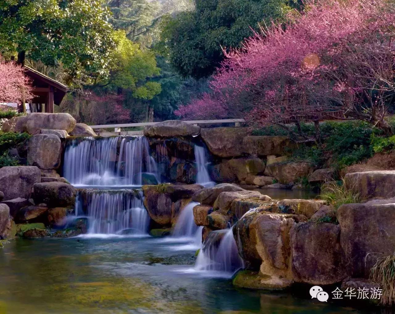 一年美出12种味道，这就是我大金华！今年的旅行计划小布都给你列好了