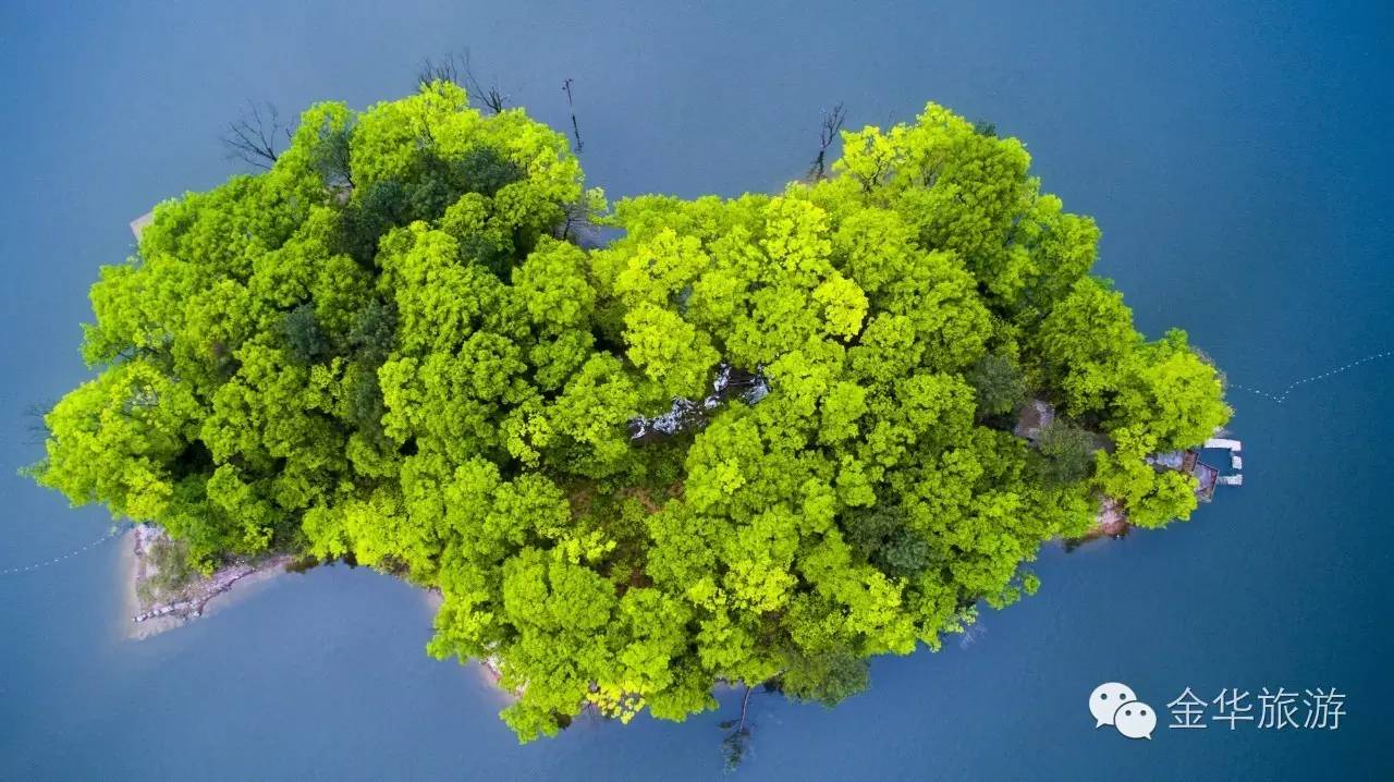 一年美出12种味道，这就是我大金华！今年的旅行计划小布都给你列好了