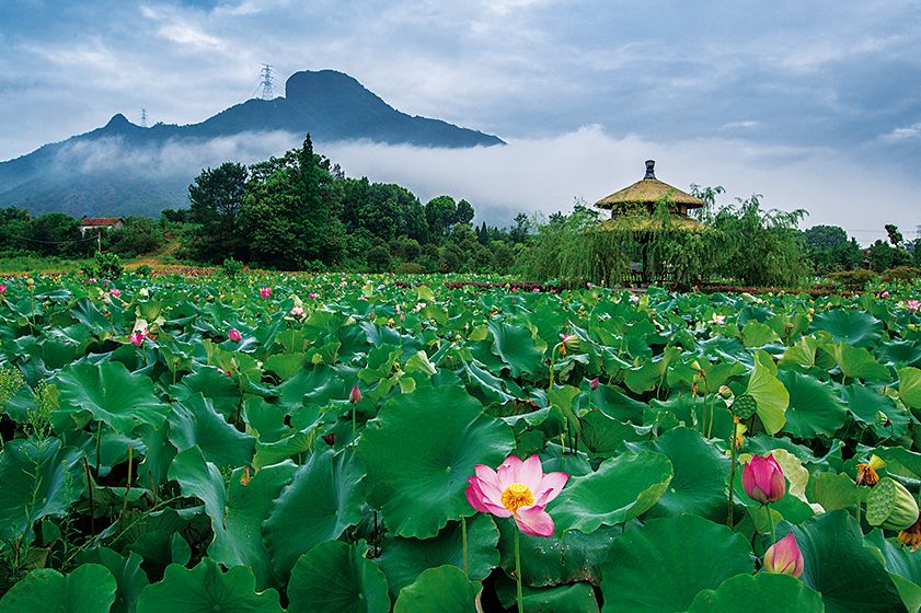 一年美出12种味道，这就是我大金华！今年的旅行计划小布都给你列好了