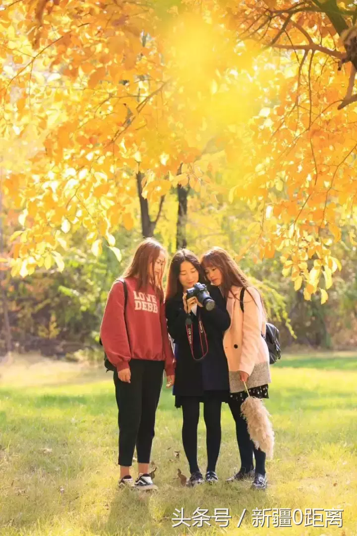 旅游·秋意·昌吉｜和我在高校的小路走一走……