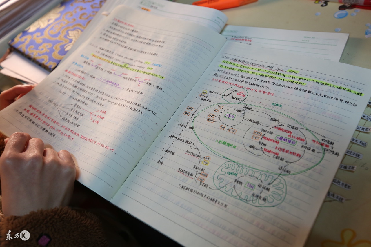 高考状元的完美学习法！现在跟着做，期末考高分绝对来得及！