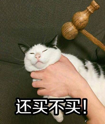 猫咪表情包折磨男朋友系列