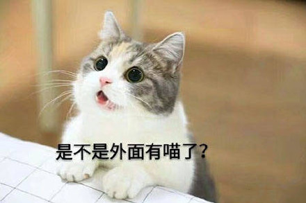 喊老公的萌萌的表情包