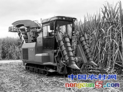 廣西崇左：租著租著就把農(nóng)機(jī)搞到手了