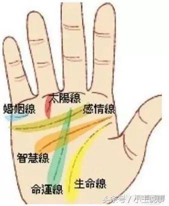 单手断掌和双手断掌有啥区别?