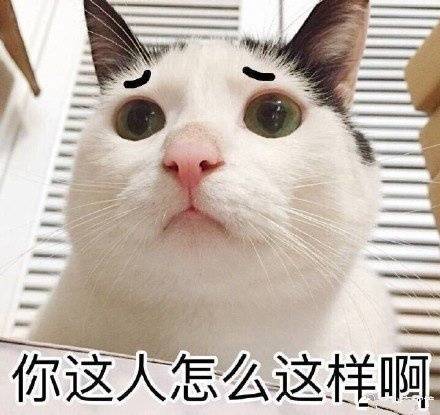 猫咪表情包折磨男朋友系列