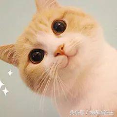 轻松易懂，教你用PS三步搞定证件照大小！