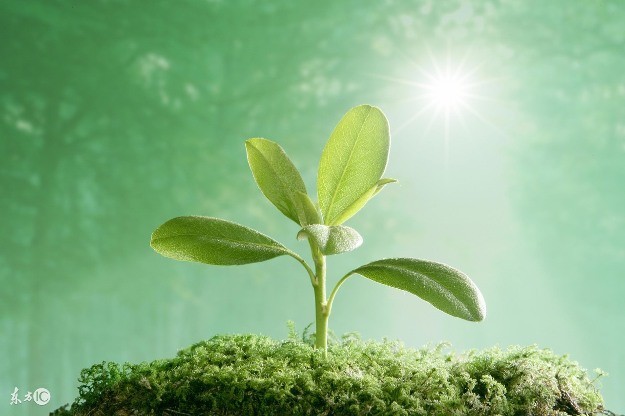 如何看懂2018年各大艺术院校招生简章？这些才是重点！