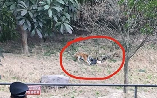 难以置信！高铁扒门女竟是优秀女教师，死不认错？网友再扒新猛料