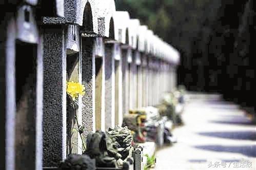 黑龙江早新闻丨下月起 低保、特困等人群应减免殡葬基本服务收费