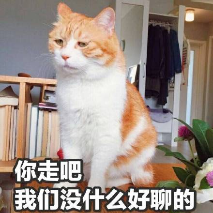 小猫咪表情包带字图片