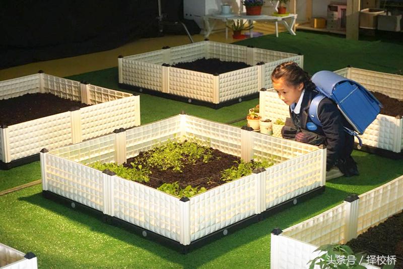 湖州帕丁顿特色课程体系，打造最适合孩子的教育