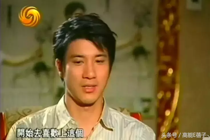 王力宏，一个因为唱歌而被低估的演员