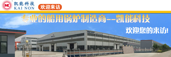 好品质的ZYS立式针形管组合锅炉，就在凯能科技
