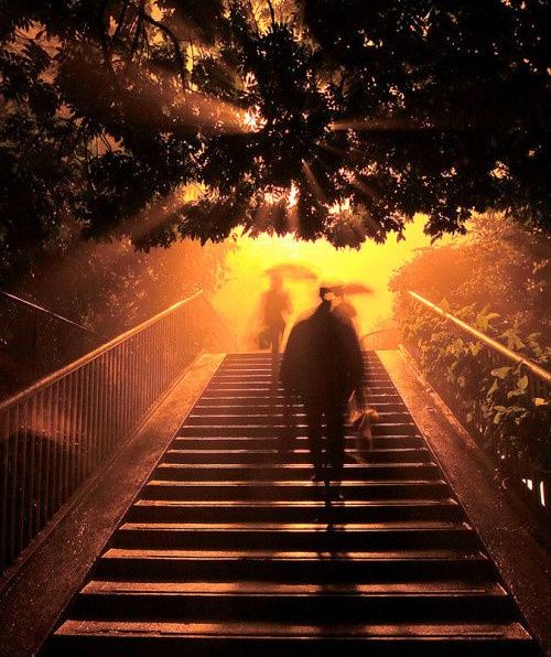 寒门博士自杀，谁是真正杀死这些贫穷而上进年轻人的“凶手”？