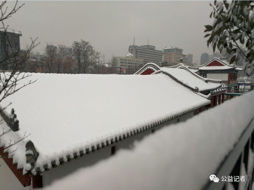 29趟高铁停运班车停发航班取消高速路封闭！陕西这场雪要下到后天？