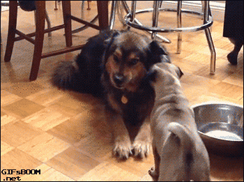 37个鬼迷日眼的贵州成语，你懂几个？