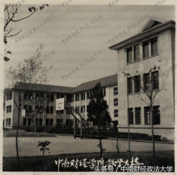 光影中南｜润泽心灵-老建筑之文润楼与文泽楼