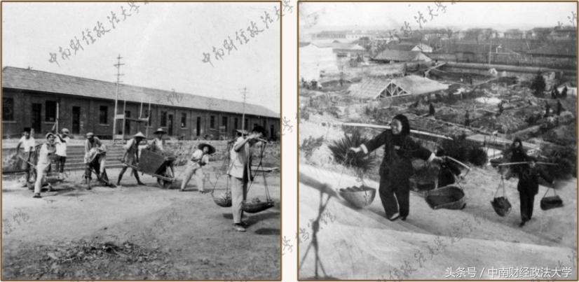 光影中南｜润泽心灵-老建筑之文润楼与文泽楼