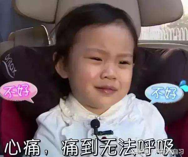 关车门把气囊都震出来了？什么仇什么怨？