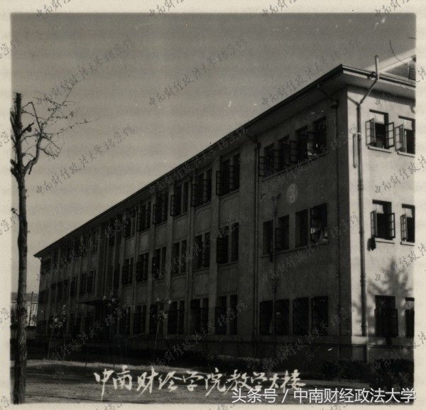 光影中南｜润泽心灵-老建筑之文润楼与文泽楼