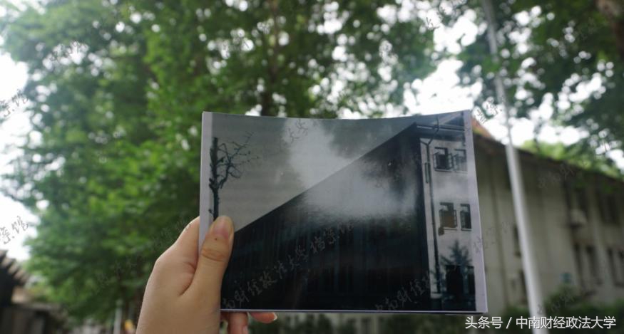 光影中南｜润泽心灵-老建筑之文润楼与文泽楼