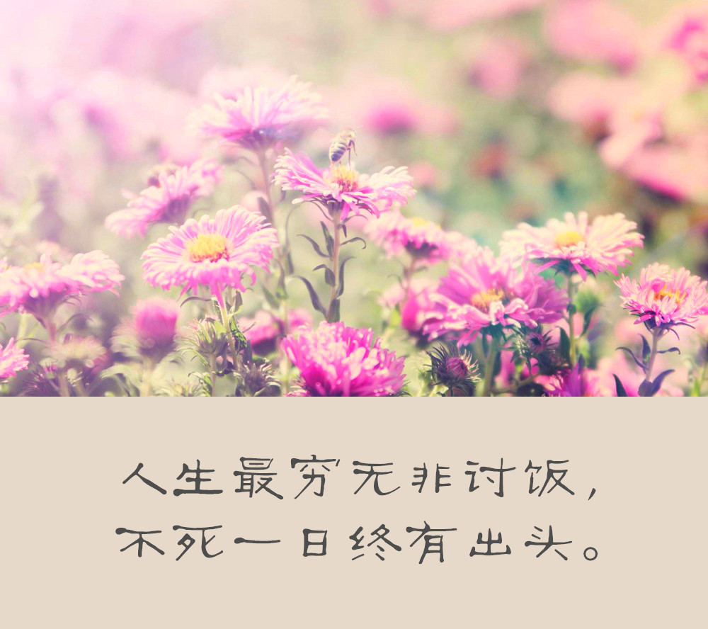 落魄时的心声：无助与希望交织的独白