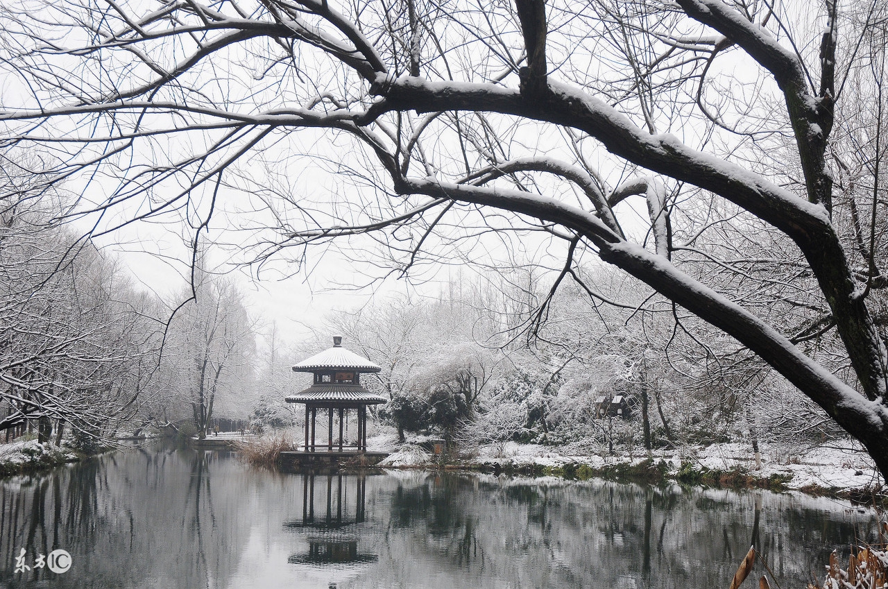 初雪纷飞诗意浓，银装素裹天地静
