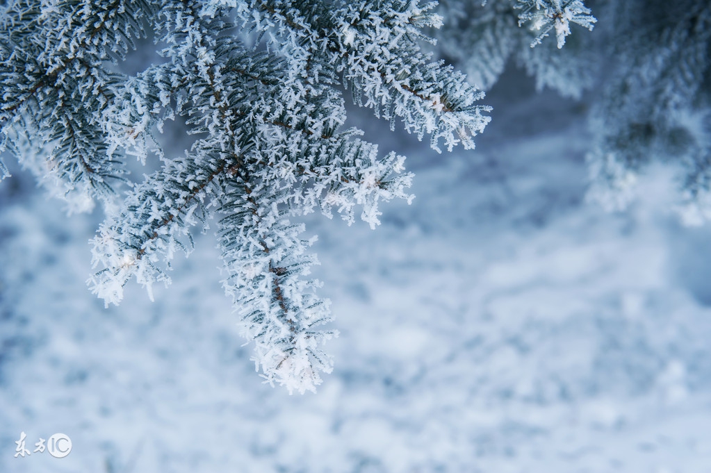 描写雪景的唯美古诗句，美到心碎的诗词佳句