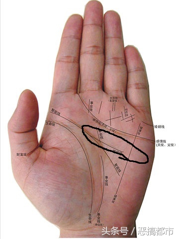 掌纹识别看手相 手相算命全集_达一风水网