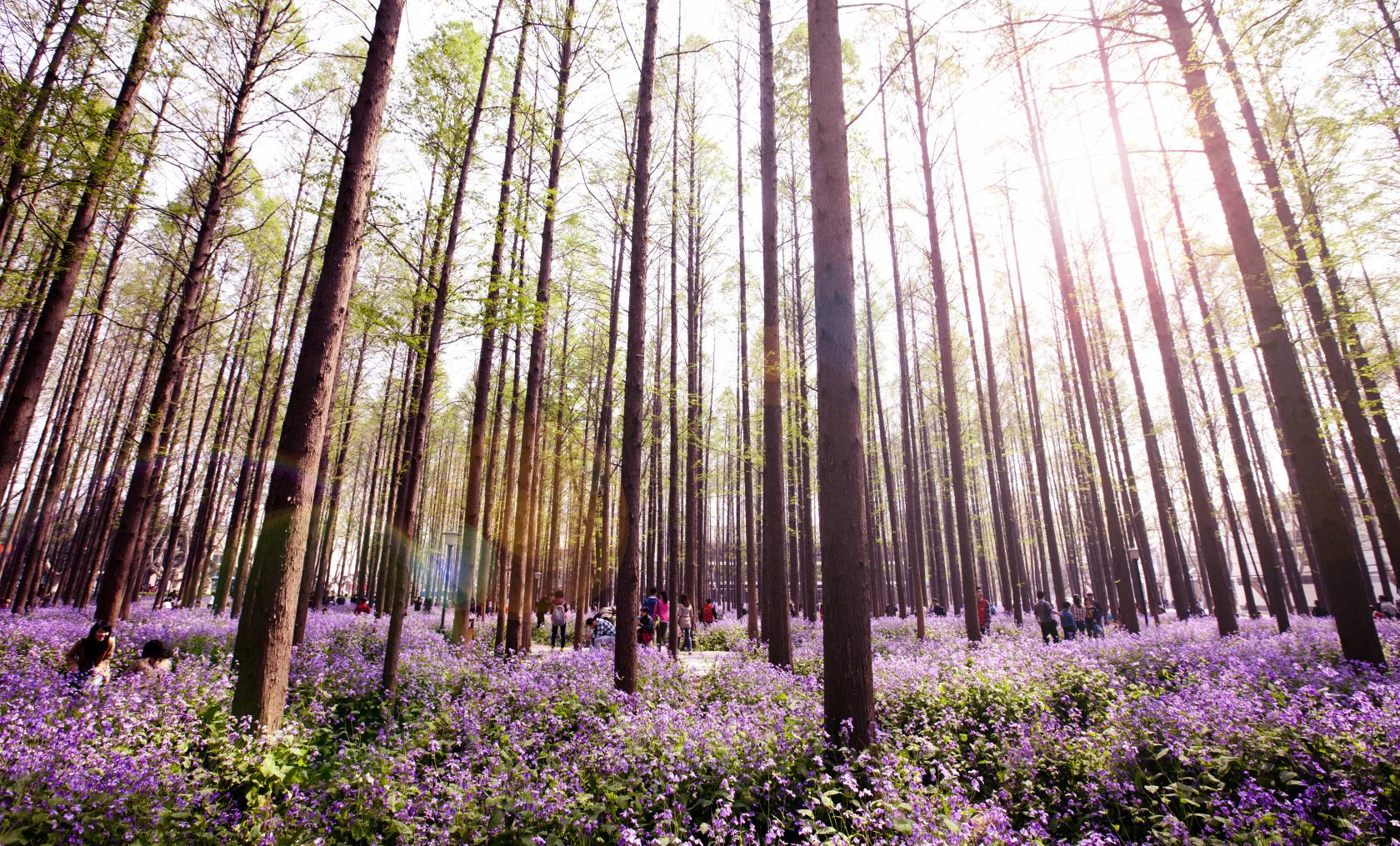 国防七子、兵工七子，二本都能录取，这是怎么回事，您想知道吗？