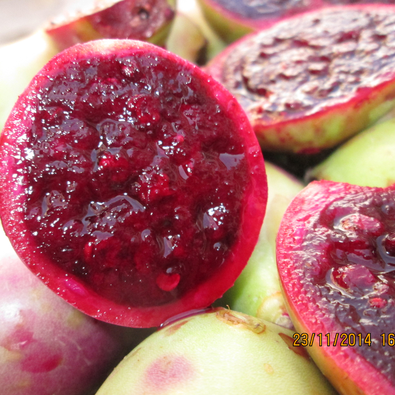 仙人掌果实里的果肉含有很多丰富的花青素,微量元素,蛋白质,氨基酸