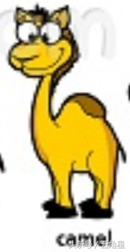 42个动物的英语单词！dolphin？lion？starfish？你都认识吗？