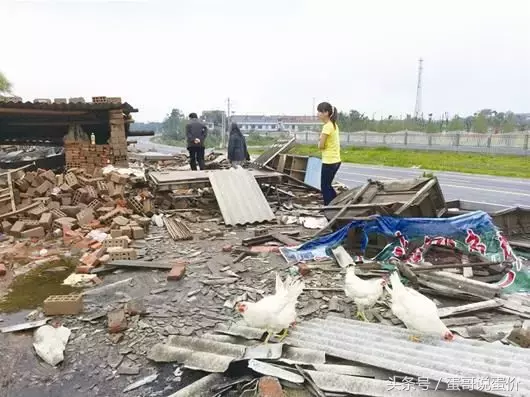 独家 ︳2018年鸡蛋价格走势预测！