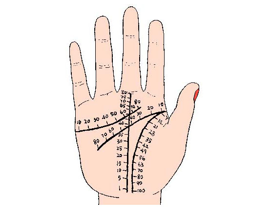 解析手相：啥手相的人更容易成功，并且一生衣食无忧！