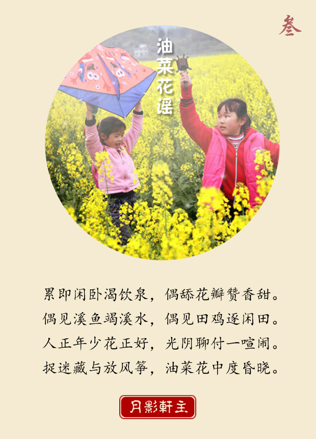 原创古体诗 | 油菜花谣