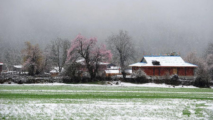 元朝张养浩：兴，百姓苦；亡，百姓苦(张养浩传)