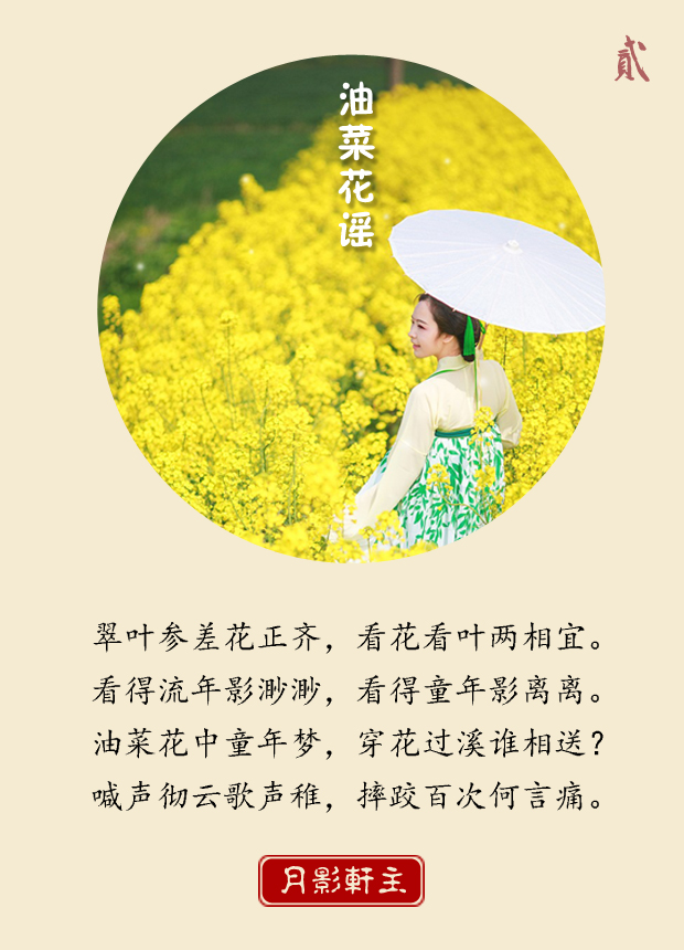 原创古体诗 | 油菜花谣