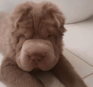 37个鬼迷日眼的贵州成语，你懂几个？