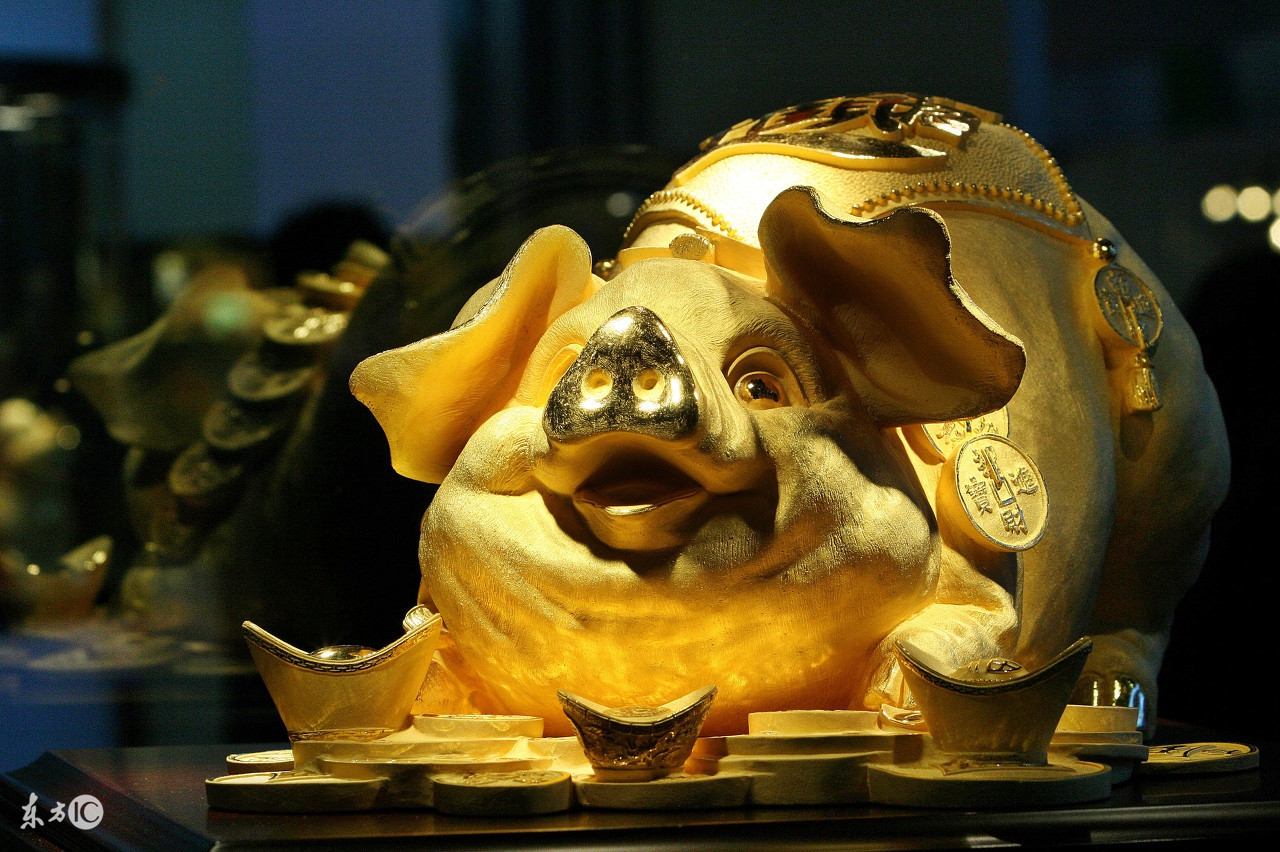 亢金龙是什么动物?