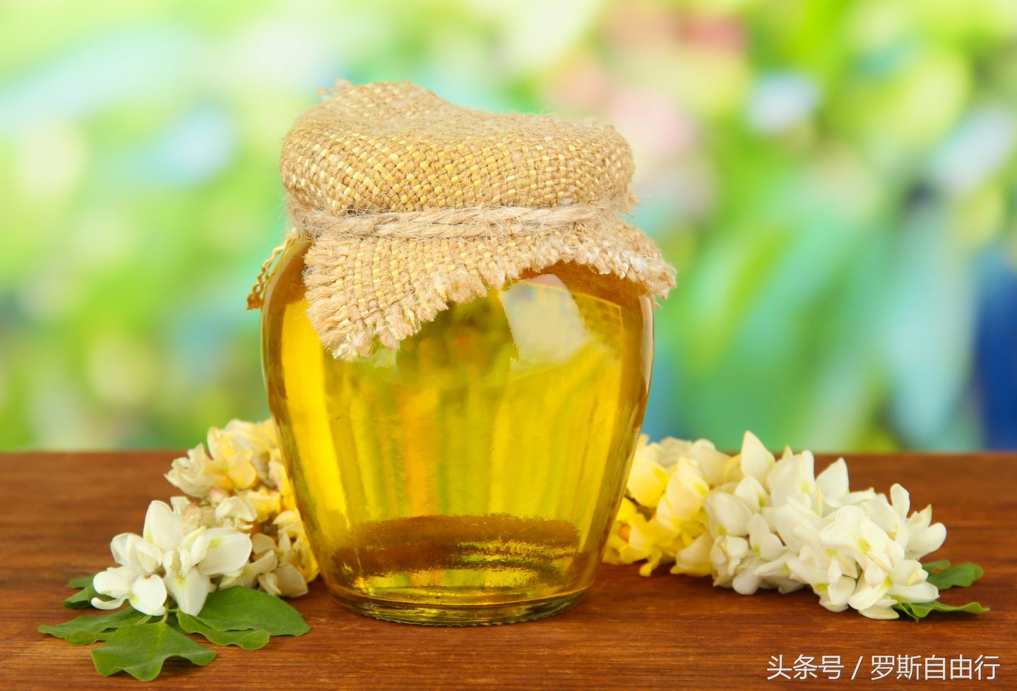 俄罗斯蜂蜜之7大种类3大品牌，特产就要买对的！
