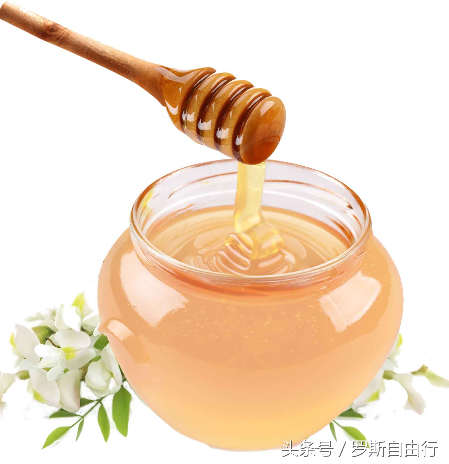 俄罗斯蜂蜜之7大种类3大品牌，特产就要买对的！