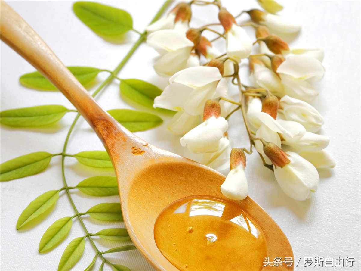 俄罗斯蜂蜜之7大种类3大品牌，特产就要买对的！