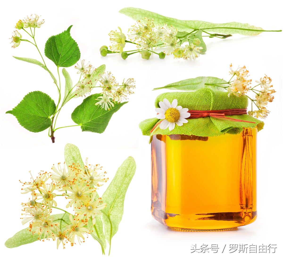 俄罗斯蜂蜜之7大种类3大品牌，特产就要买对的！