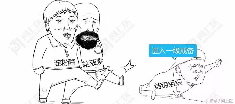 为什么嘴唇会出现青紫、苍白等“不健康”颜色？漫画教你科学护唇