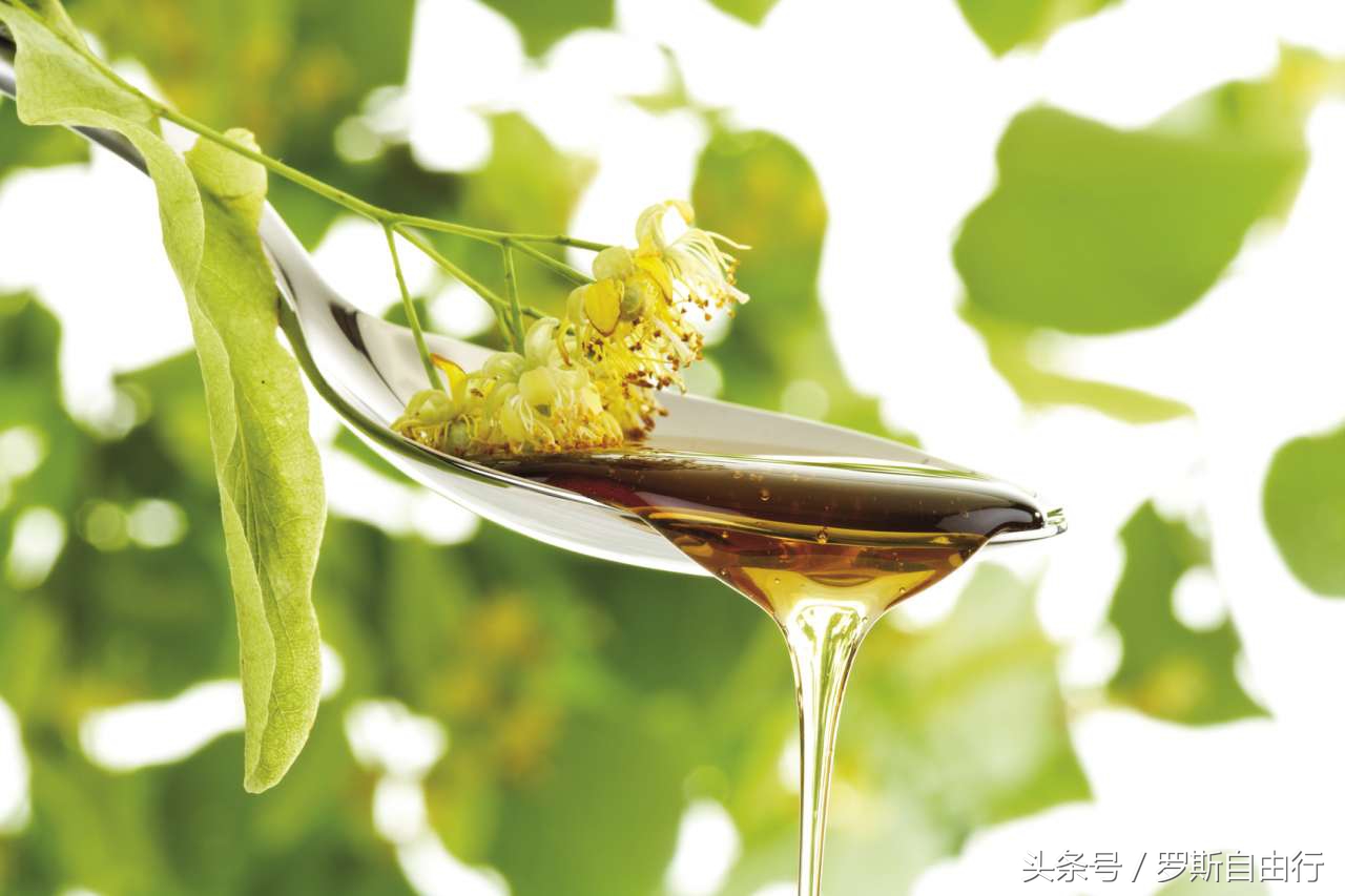 俄罗斯蜂蜜之7大种类3大品牌，特产就要买对的！