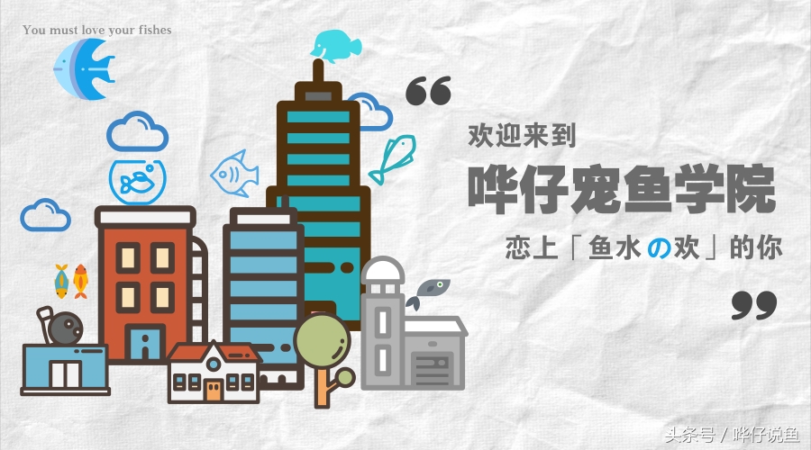 鱼缸如雪，心随波漾，一池清影映温柔。