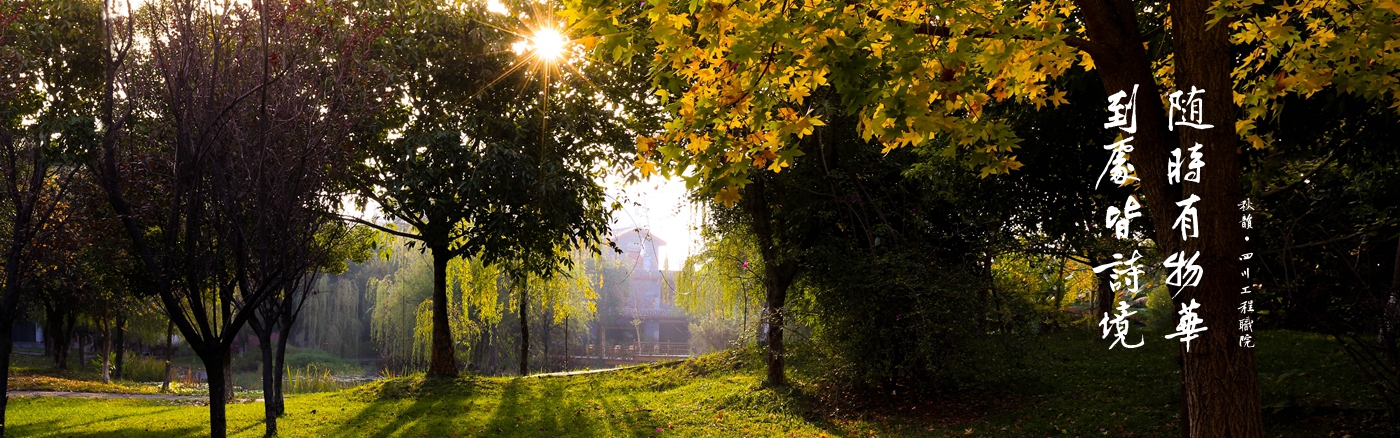 中国高职高专院校排名100强，深圳职业技术学院满分问鼎