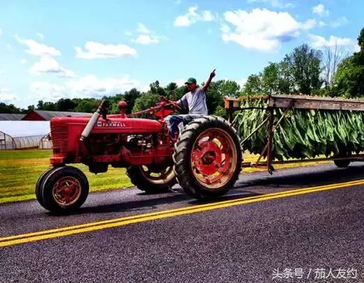 为什么他一直高价？揭秘雪茄最贵之处