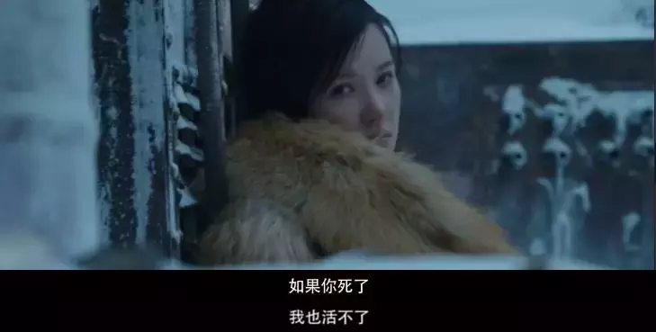 不敢相信中国电影人会如此疯狂，在南极拍出这样惊心动魄的爱情